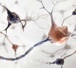 ǳ˵ƫִ�Ծ����ϰ�����֢״